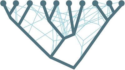 Mineral Facilitated Horizontal Gene Transfer: A New Principle for Evolution of Life?